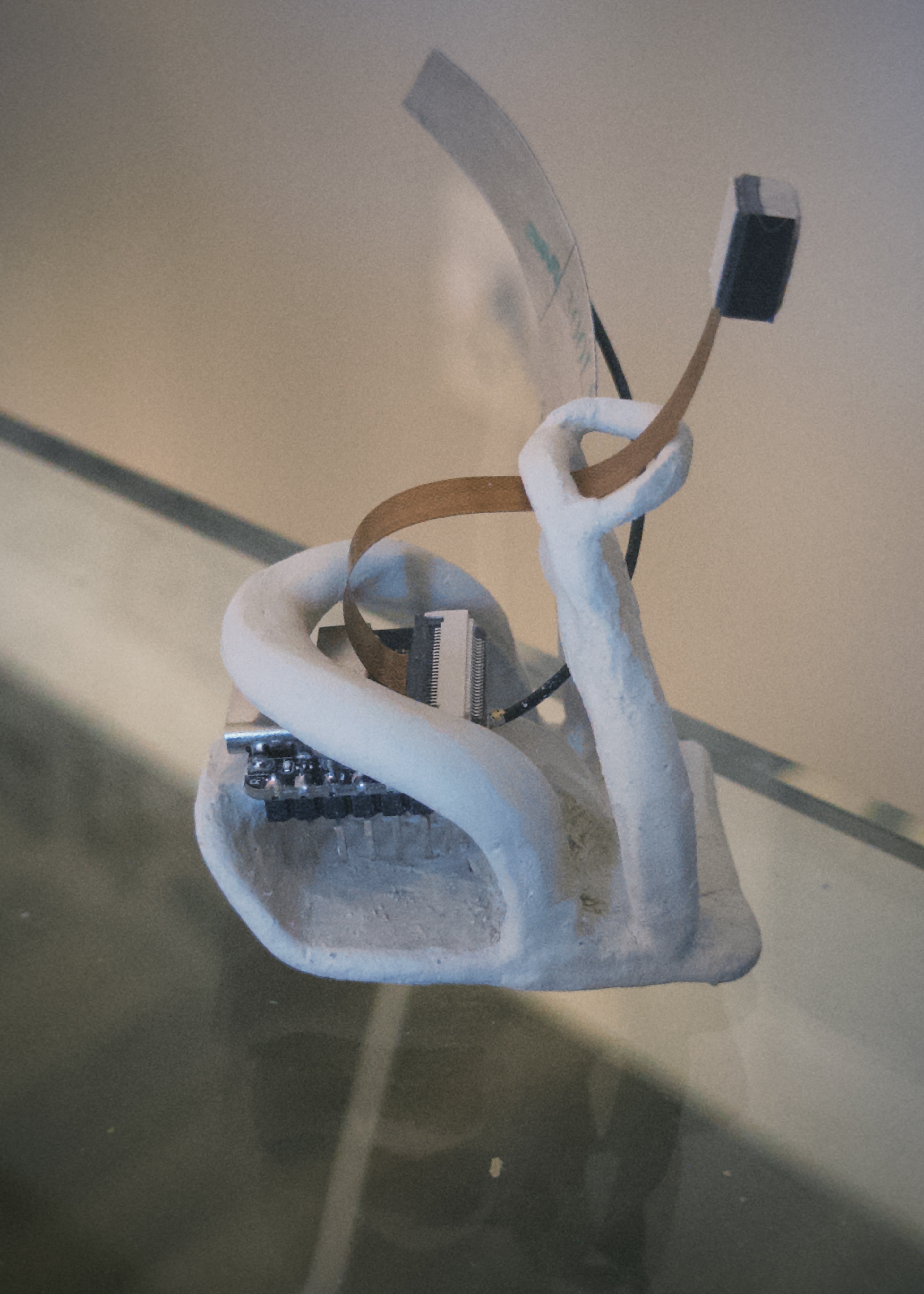 Solrise window capture device